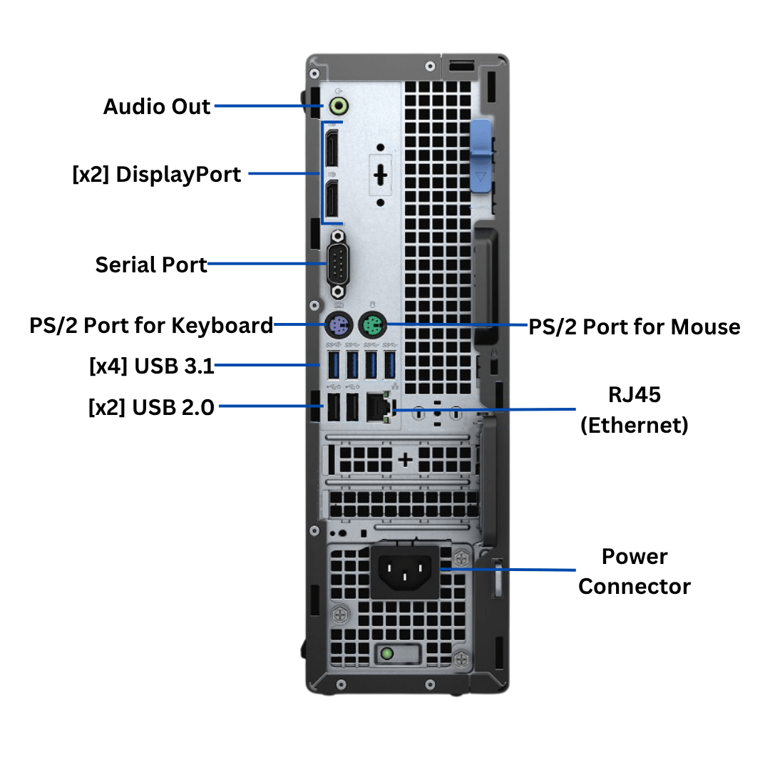 Rear-facing view of the Dell OptiPlex 7080 Small Form Factor Desktop Port Diagram, with all rear-side ports visible and clearly labeled.