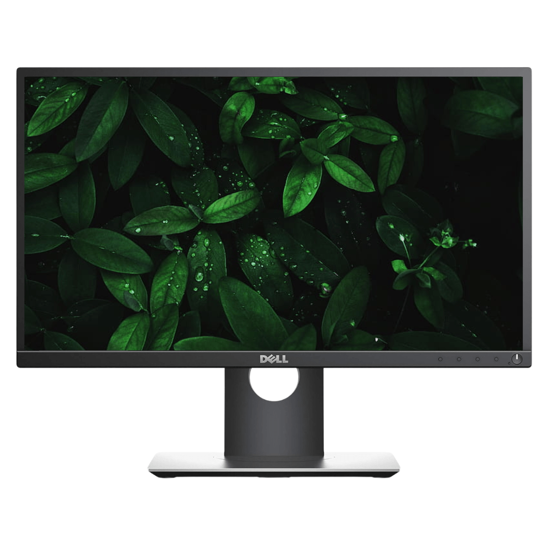 Front-facing view of an upright Dell Professional P2217H Monitor with foliage on the screen background.