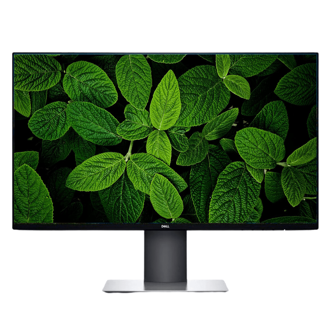 Main Front-facing image of a Dell Professional P2419H 24" Monitor, with a screen a closeup of leaves from a bush or tree.