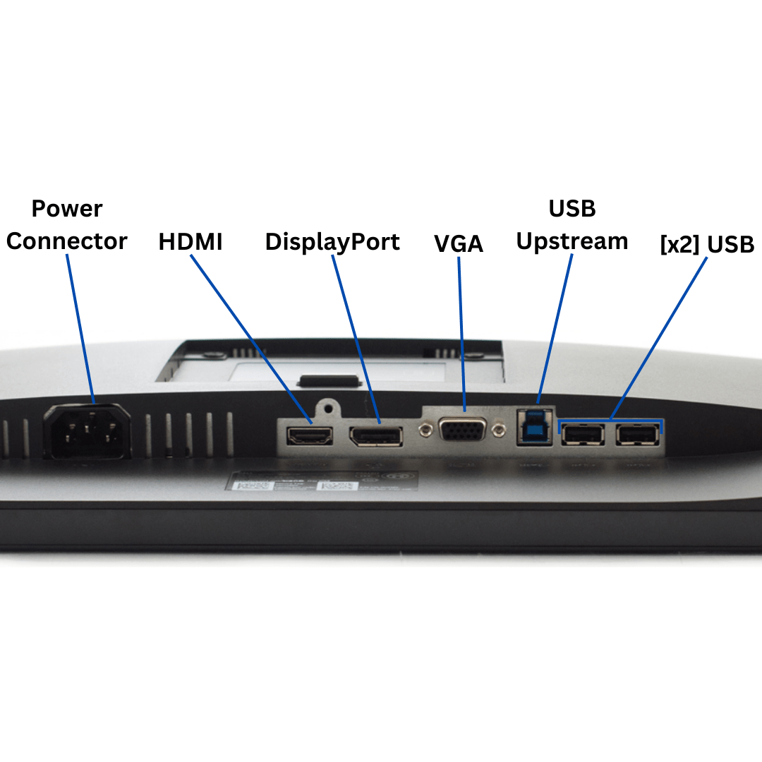 Under-rear view of the Dell Professional P2419H port diagram, with all visible ports clearly labeled.